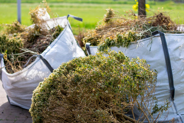 Best Recycling Services for Junk  in Moorhead, MS